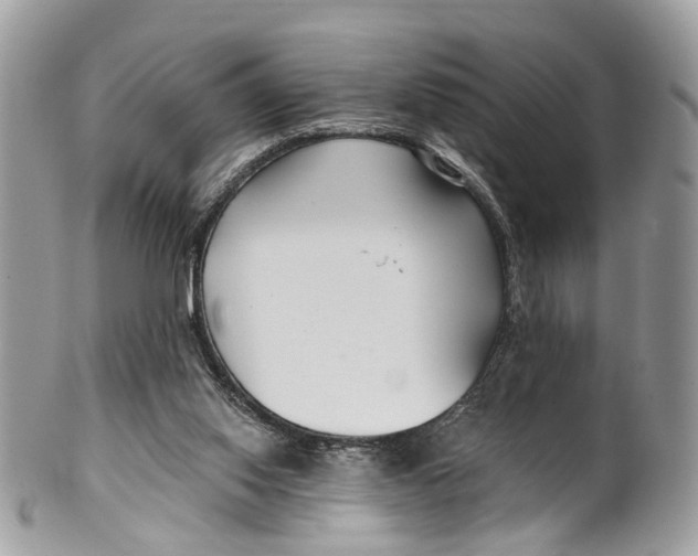 X0000099520062200806051221