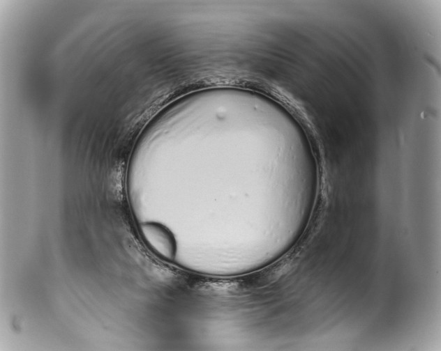 X0000099520065200806051221