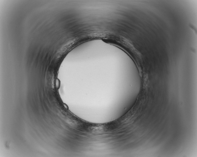 X0000099520068200806051221