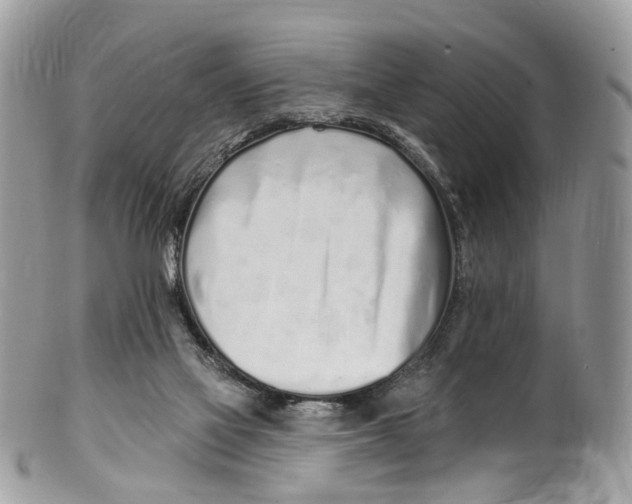 X0000099520069200806051221