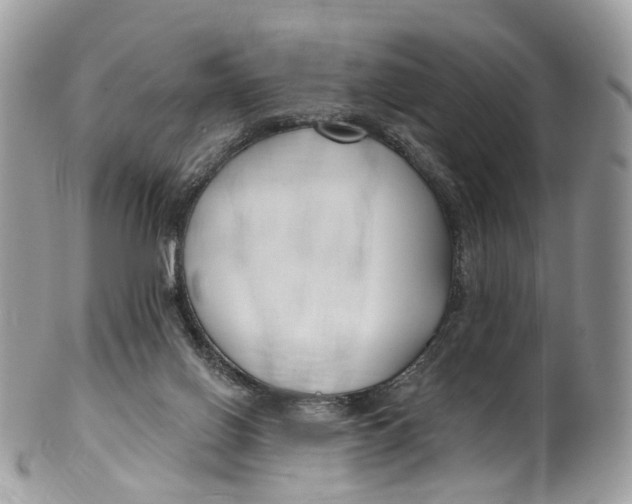 X0000099520070200806051221