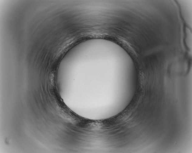 X0000099520071200806051221