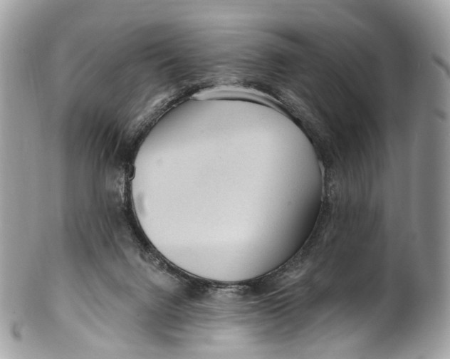 X0000099520072200806051221