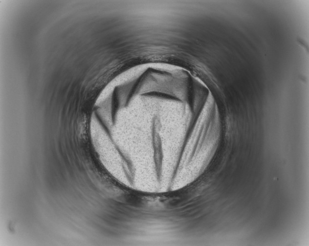 X0000099520073200806051221