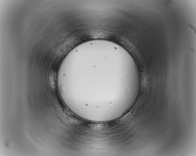 X0000099520074200806051221