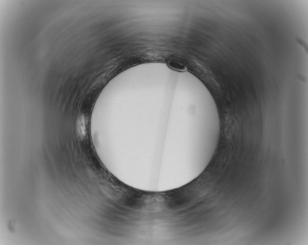 X0000099520075200806051221