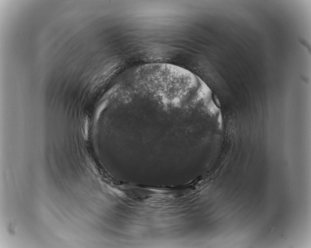 X0000099520076200806051221