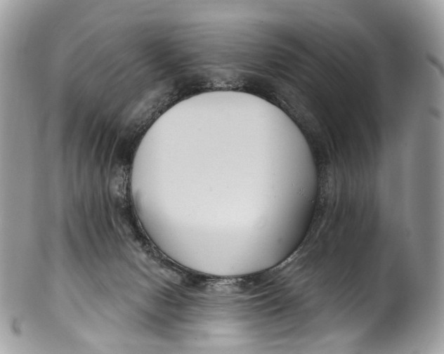 X0000099520078200806051221