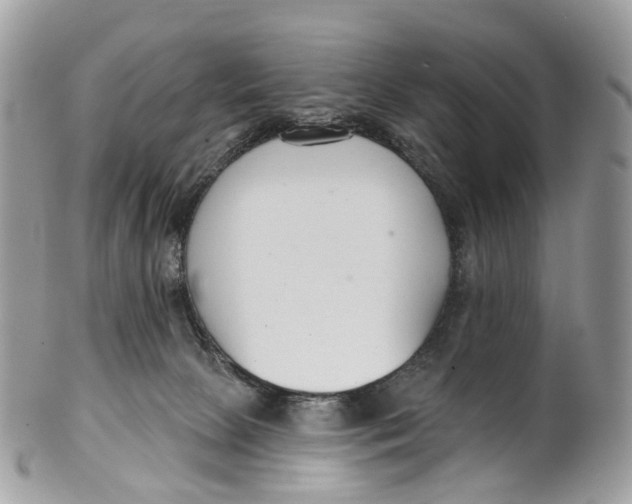 X0000099520081200806051221