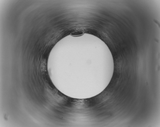 X0000099520083200806051221