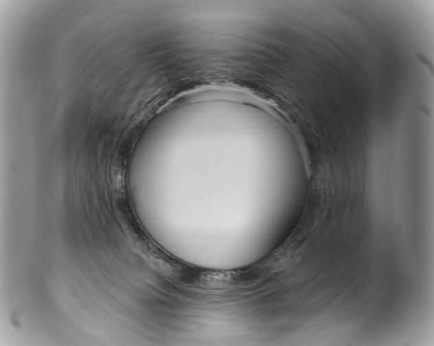 X0000099520084200806051221