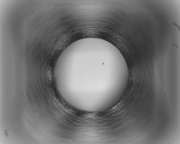 X0000099520086200806051221