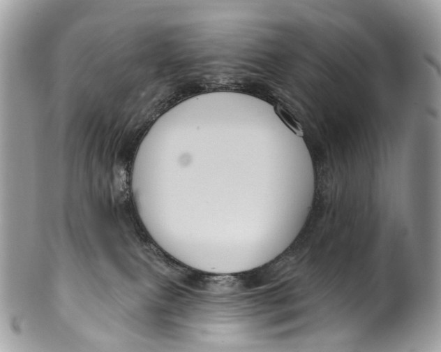 X0000099520087200806051221