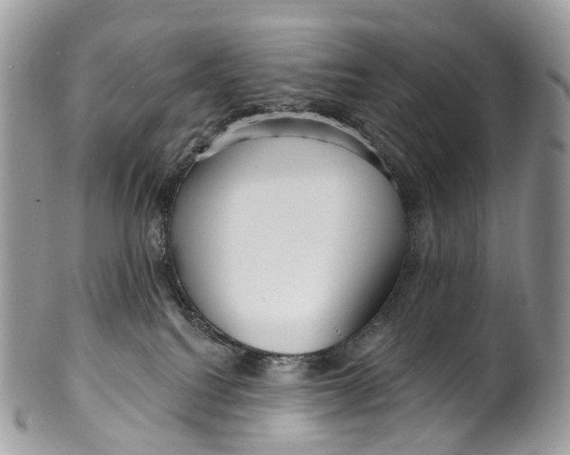 X0000099520088200806051221