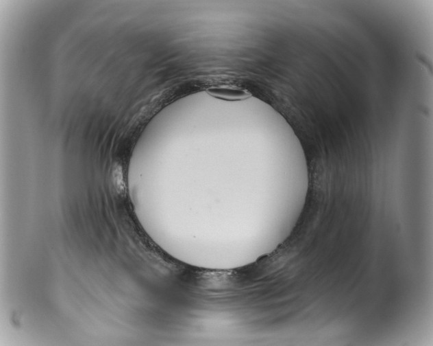 X0000099520089200806051221