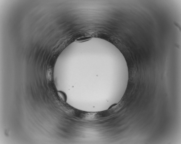 X0000099520090200806051221