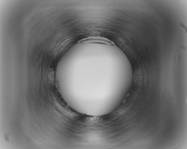 X0000099520092200806051221