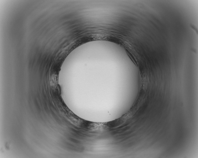 X0000099520093200806051221