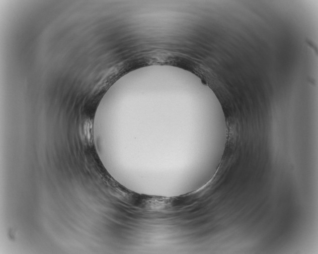 X0000099520094200806051221