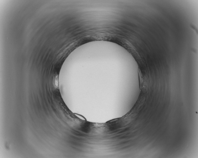 X0000099520095200806051221