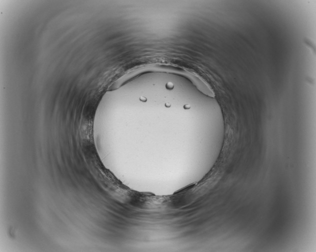 X0000099520096200806051221