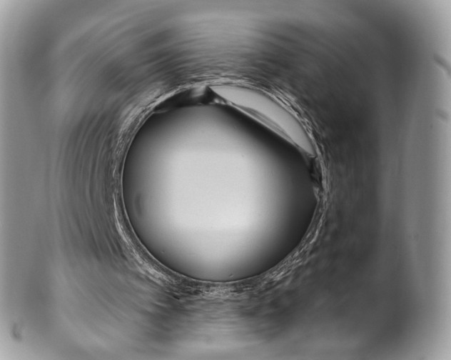 X0000099520097200806051221