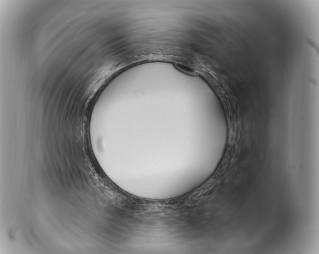 X0000099520098200806051221