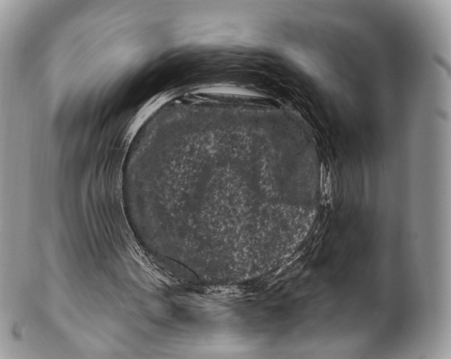 X0000099520099200806051221