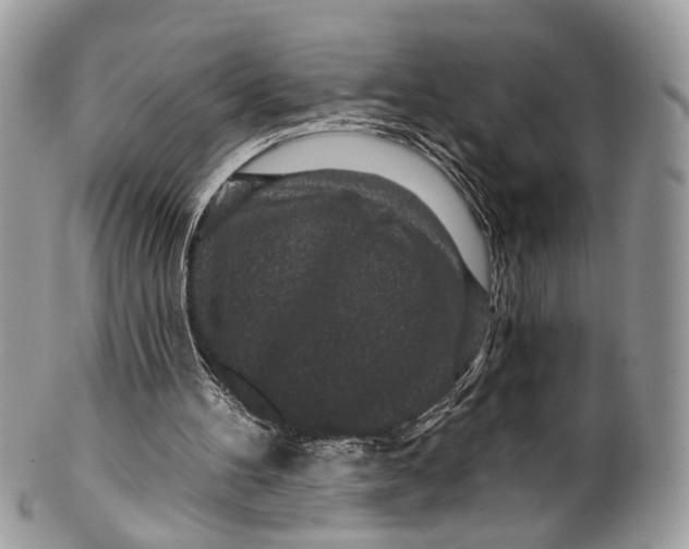 X0000099520100200806051221