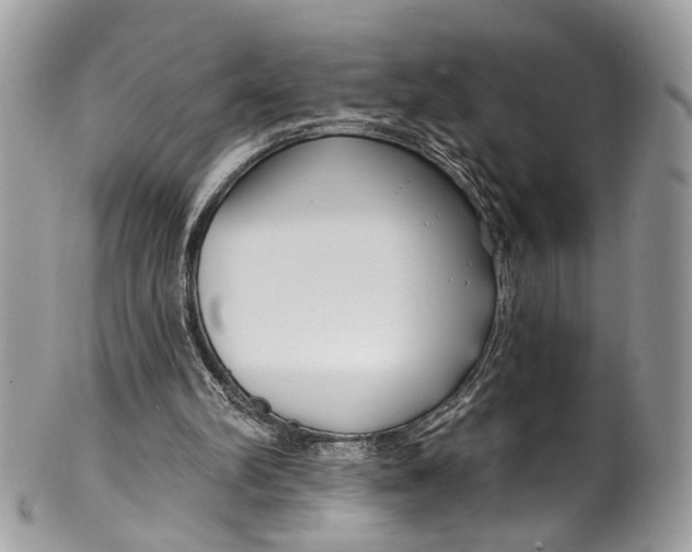 X0000099520102200806051221