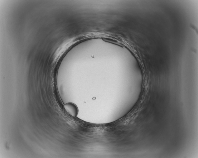 X0000099520103200806051220