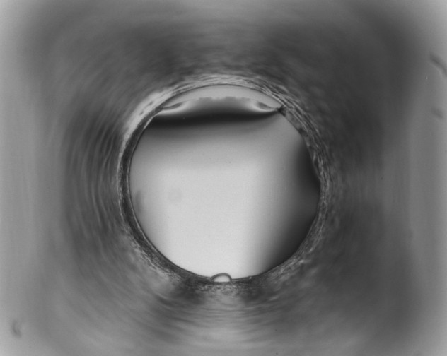 X0000099520104200806051220