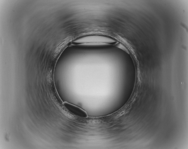 X0000099520105200806051220