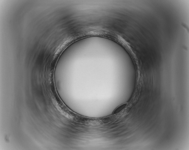 X0000099520106200806051220