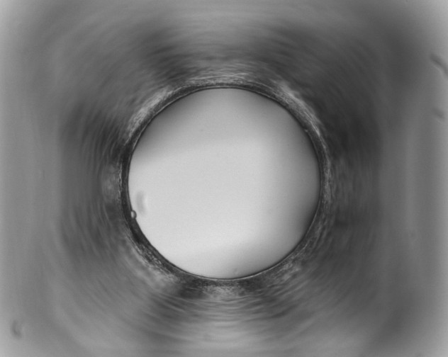 X0000099520107200806051220