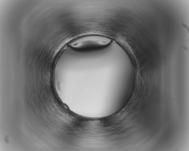 X0000099520108200806051220