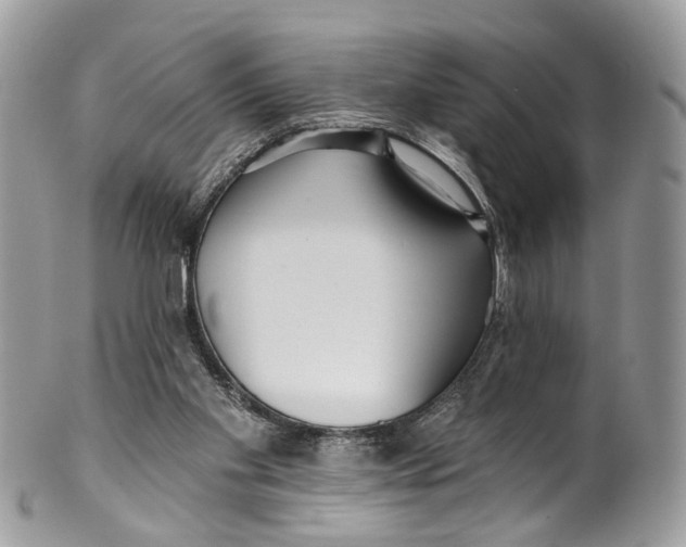 X0000099520109200806051220