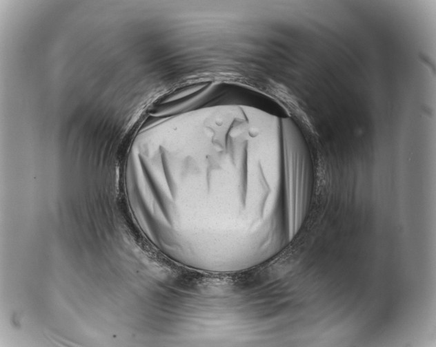 X0000099520110200806051220