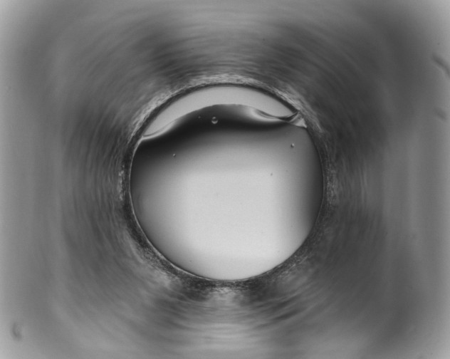 X0000099520111200806051220