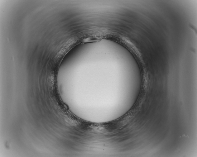 X0000099520113200806051220