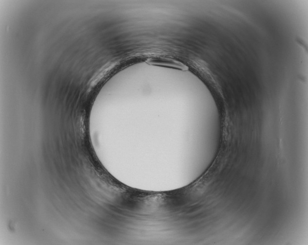 X0000099520116200806051220