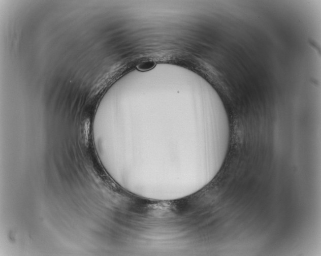 X0000099520118200806051220