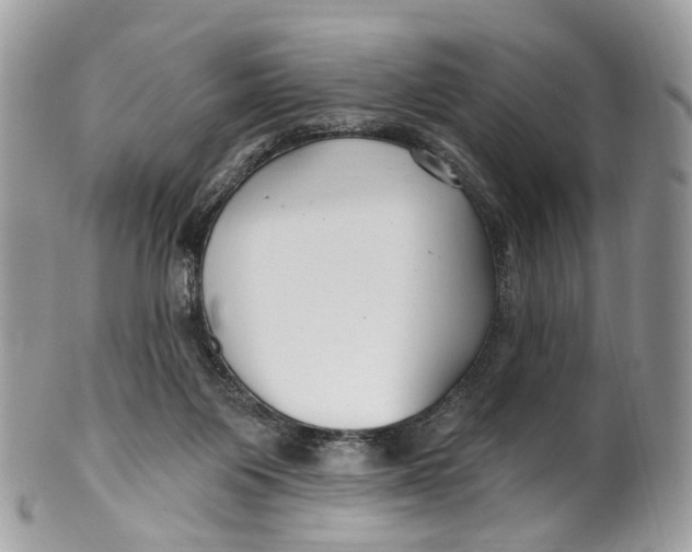 X0000099520119200806051220