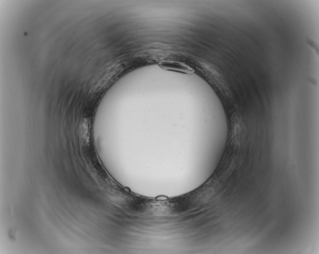 X0000099520121200806051220