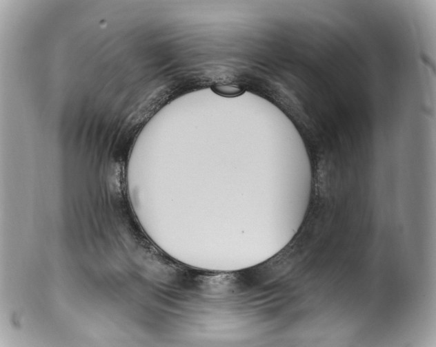 X0000099520122200806051220