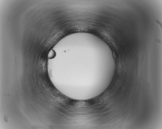 X0000099520123200806051220