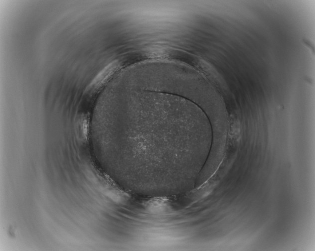 X0000099520124200806051220