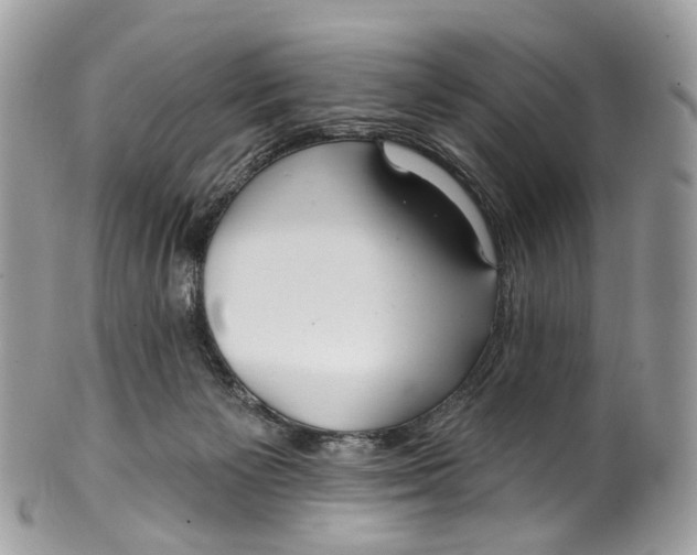 X0000099520125200806051220