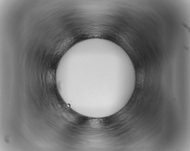 X0000099520126200806051220