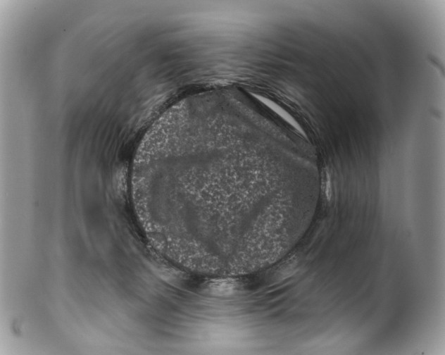 X0000099520127200806051220